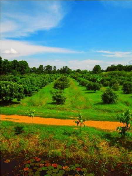 Therdthai Farm Boutique Hotel Sukhothai Exteriör bild